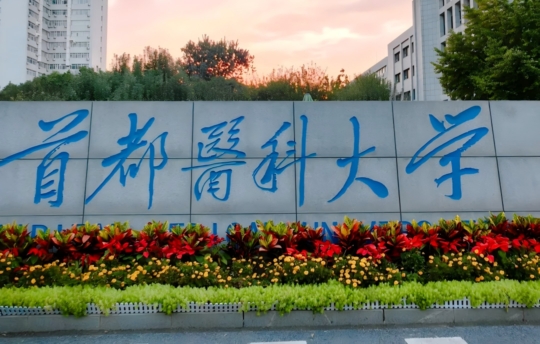 11f55572-fd49-43cb-bacd-95efa5f11ffb.png